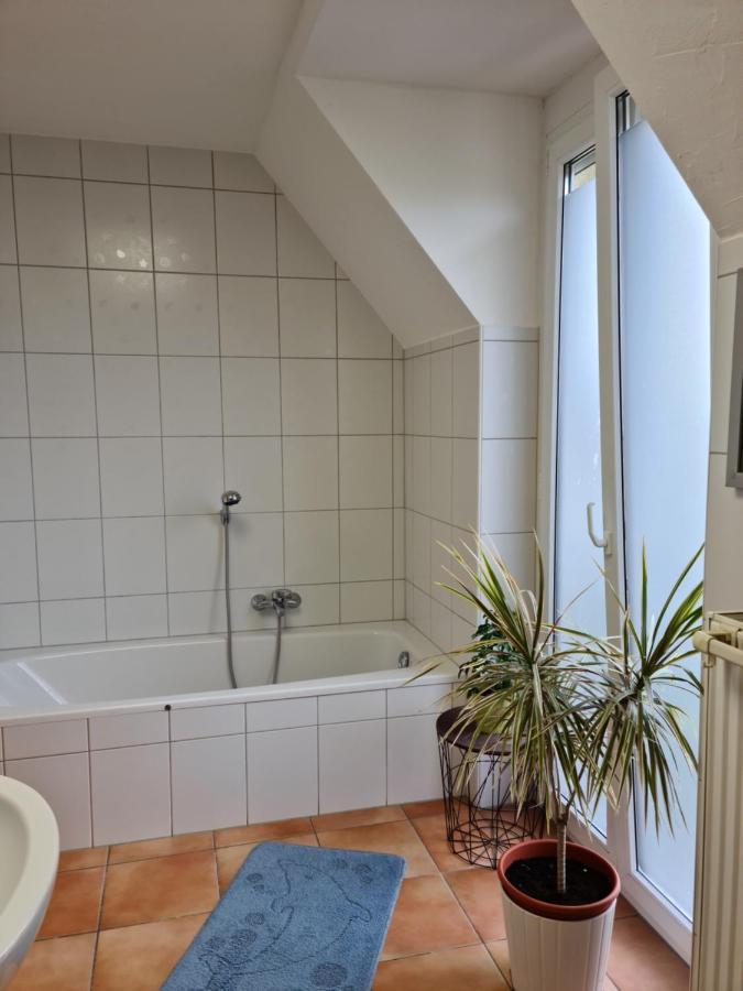 Lichtdurchflutetes Zimmer - Mainwiesen Waldbuttelbrunn Екстериор снимка